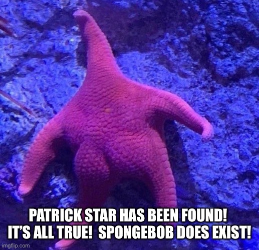PATRICK STAR HAS BEEN FOUND!  IT’S ALL TRUE!  SPONGEBOB DOES EXIST! | image tagged in spongebob,patrick star,you can't handle the truth | made w/ Imgflip meme maker