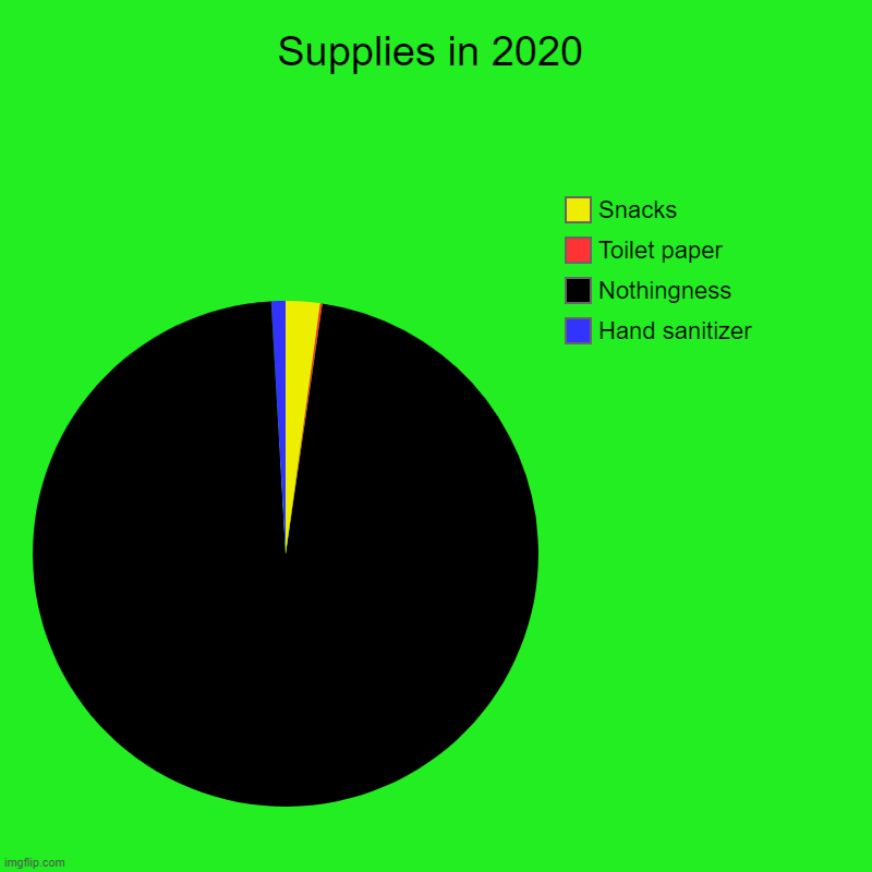 Supplies in 2020 | Hand sanitizer , Nothingness , Toilet paper, Snacks | image tagged in charts,pie charts | made w/ Imgflip chart maker
