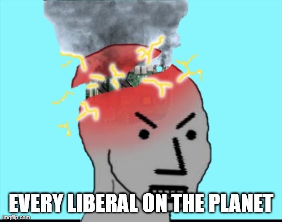 NPC Meltdown | EVERY LIBERAL ON THE PLANET | image tagged in npc meltdown | made w/ Imgflip meme maker