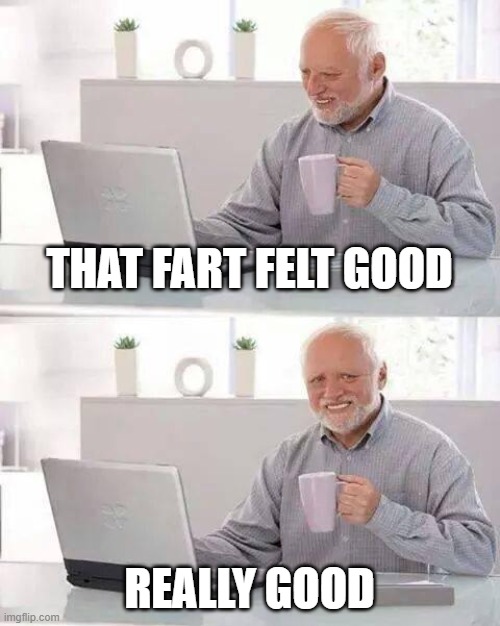 Hide the Pain Harold Meme | THAT FART FELT GOOD; REALLY GOOD | image tagged in memes,hide the pain harold | made w/ Imgflip meme maker