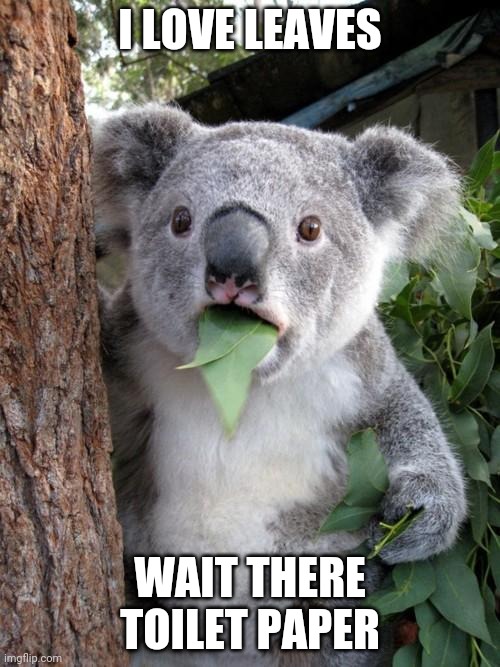 Surprised Koala Meme | I LOVE LEAVES; WAIT THERE TOILET PAPER | image tagged in memes,surprised koala | made w/ Imgflip meme maker