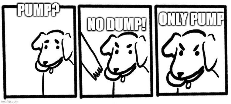 No Take, Only Throw | PUMP? NO DUMP! ONLY PUMP | image tagged in no take only throw | made w/ Imgflip meme maker