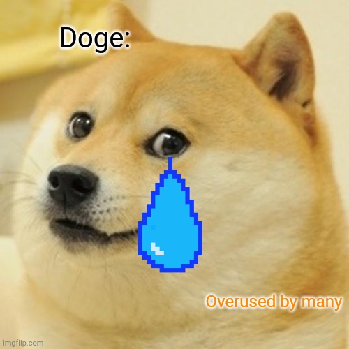 Doge Meme | Doge:; Overused by many | image tagged in memes,doge | made w/ Imgflip meme maker