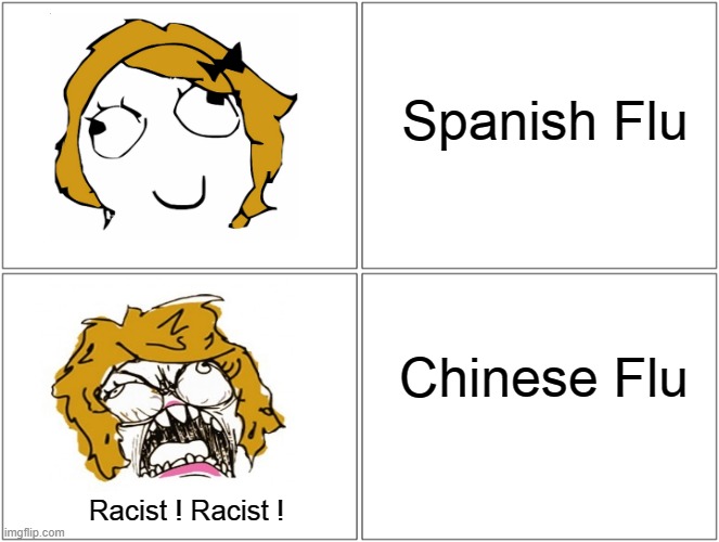 Blank Comic Panel 2x2 Meme | Spanish Flu; Chinese Flu; Racist ! Racist ! | image tagged in memes,blank comic panel 2x2 | made w/ Imgflip meme maker
