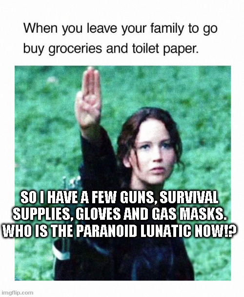 the Tribute | SO I HAVE A FEW GUNS, SURVIVAL SUPPLIES, GLOVES AND GAS MASKS. WHO IS THE PARANOID LUNATIC NOW!? | image tagged in hunger games,covid-19 | made w/ Imgflip meme maker
