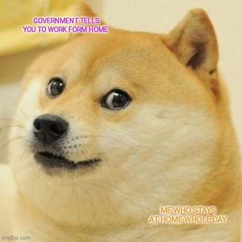 Doge | GOVERNMENT TELLS YOU TO WORK FORM HOME; ME WHO STAYS AT HOME WHOLE DAY | image tagged in memes,doge | made w/ Imgflip meme maker