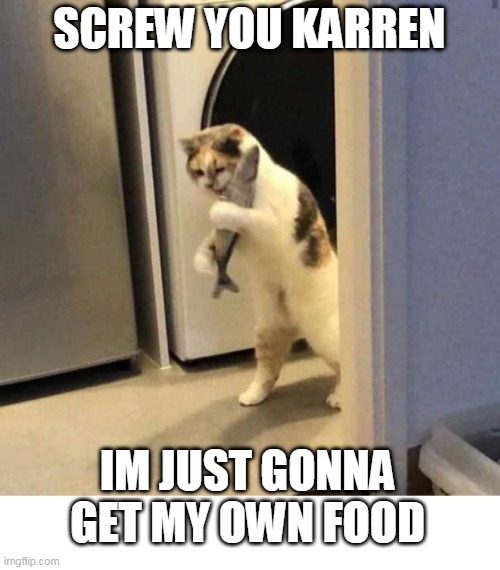 FOOD | SCREW YOU KARREN; IM JUST GONNA GET MY OWN FOOD | image tagged in cats,funny cats,fish | made w/ Imgflip meme maker