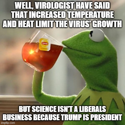 But That's None Of My Business Meme | WELL, VIROLOGIST HAVE SAID THAT INCREASED TEMPERATURE AND HEAT LIMIT THE VIRUS' GROWTH BUT SCIENCE ISN'T A LIBERALS BUSINESS BECAUSE TRUMP I | image tagged in memes,but thats none of my business,kermit the frog | made w/ Imgflip meme maker