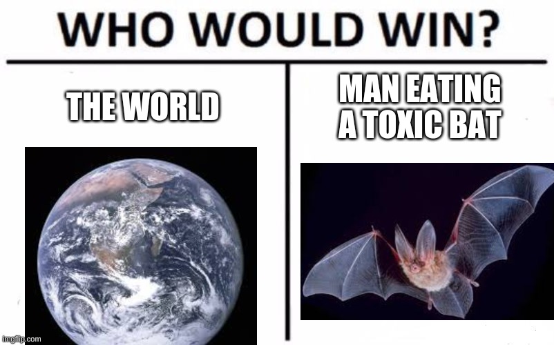 Who Would Win? Meme | THE WORLD; MAN EATING A TOXIC BAT | image tagged in memes,who would win | made w/ Imgflip meme maker