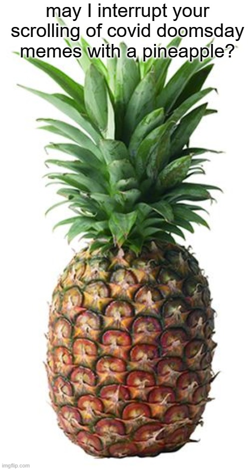 pineapple | may I interrupt your scrolling of covid doomsday memes with a pineapple? | image tagged in pineapple | made w/ Imgflip meme maker