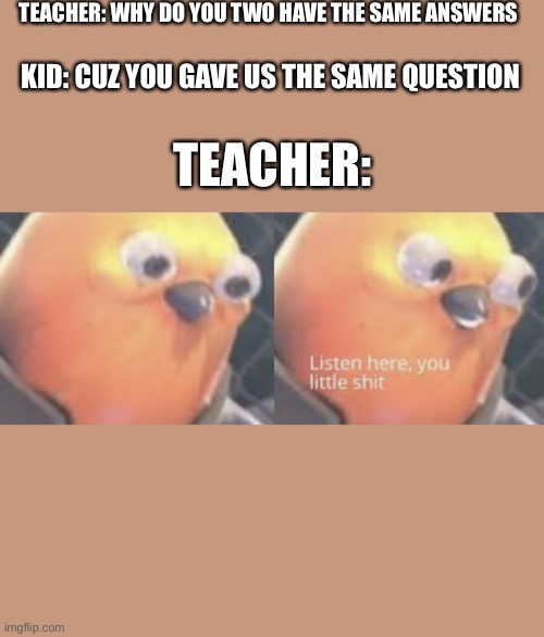 Listen here you little shit bird |  TEACHER: WHY DO YOU TWO HAVE THE SAME ANSWERS; KID: CUZ YOU GAVE US THE SAME QUESTION; TEACHER: | image tagged in listen here you little shit bird | made w/ Imgflip meme maker