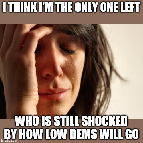 First World Problems Meme | I THINK I'M THE ONLY ONE LEFT WHO IS STILL SHOCKED BY HOW LOW DEMS WILL GO | image tagged in memes,first world problems | made w/ Imgflip meme maker