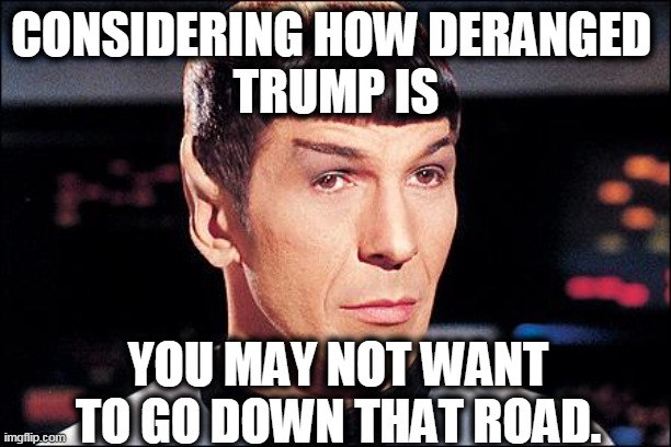 Condescending Spock | CONSIDERING HOW DERANGED 
TRUMP IS YOU MAY NOT WANT TO GO DOWN THAT ROAD. | image tagged in condescending spock | made w/ Imgflip meme maker