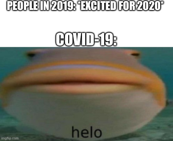 helo | PEOPLE IN 2019: *EXCITED FOR 2020*; COVID-19: | image tagged in helo | made w/ Imgflip meme maker