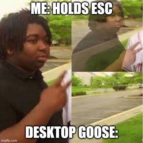 disappearing  | ME: HOLDS ESC; DESKTOP GOOSE: | image tagged in disappearing | made w/ Imgflip meme maker