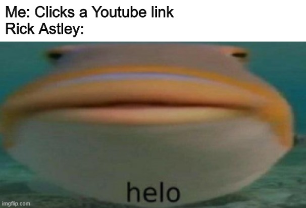 helo | Me: Clicks a Youtube link
Rick Astley: | image tagged in helo | made w/ Imgflip meme maker