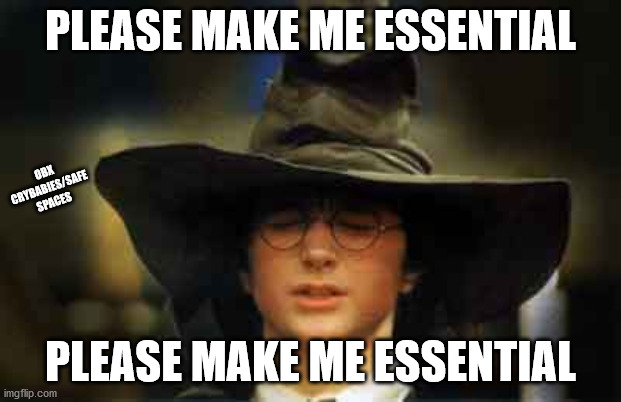 I almost wish I wasn't essential.  I could use a staycation. | PLEASE MAKE ME ESSENTIAL; OBX CRYBABIES/SAFE SPACES; PLEASE MAKE ME ESSENTIAL | image tagged in harry potter sorting hat,essential | made w/ Imgflip meme maker