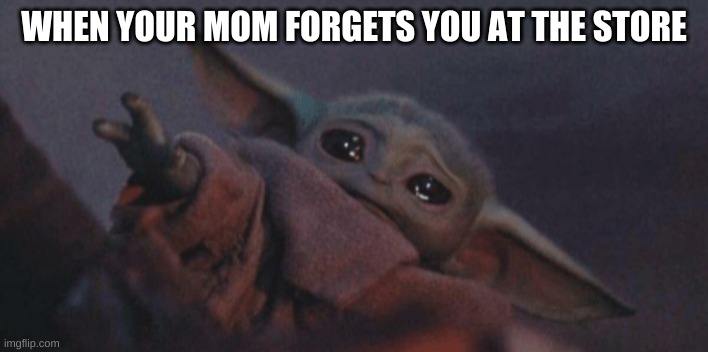 Baby yoda cry | WHEN YOUR MOM FORGETS YOU AT THE STORE | image tagged in baby yoda cry | made w/ Imgflip meme maker