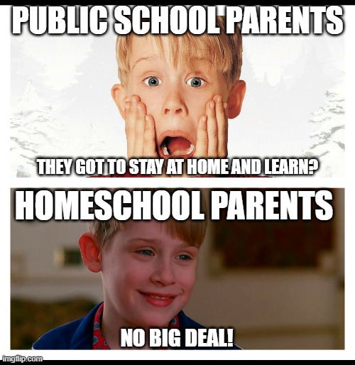Panic | PUBLIC SCHOOL PARENTS; THEY GOT TO STAY AT HOME AND LEARN? HOMESCHOOL PARENTS; NO BIG DEAL! | image tagged in panic | made w/ Imgflip meme maker