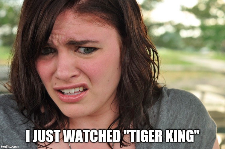 That's disgusting | I JUST WATCHED "TIGER KING" | image tagged in that's disgusting | made w/ Imgflip meme maker