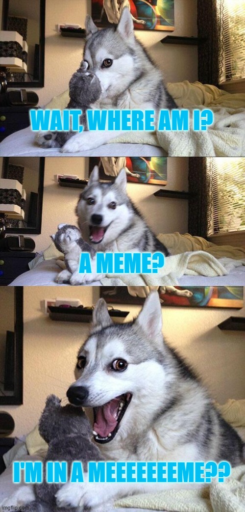 Bad Pun Dog | WAIT, WHERE AM I? A MEME? I'M IN A MEEEEEEEME?? | image tagged in memes,bad pun dog | made w/ Imgflip meme maker