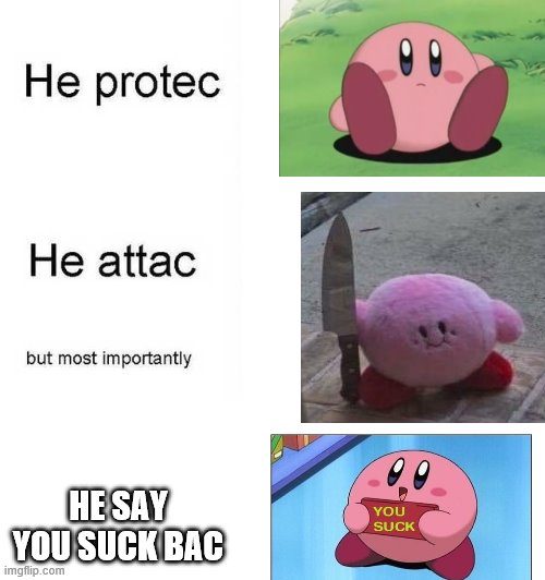 He protec he attac but most importantly | HE SAY YOU SUCK BAC | image tagged in he protec he attac but most importantly | made w/ Imgflip meme maker