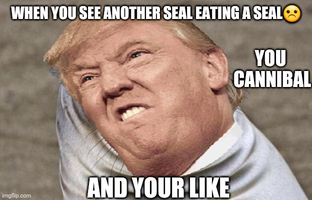 WHEN YOU SEE ANOTHER SEAL EATING A SEAL☹; YOU  CANNIBAL; AND YOUR LIKE | made w/ Imgflip meme maker