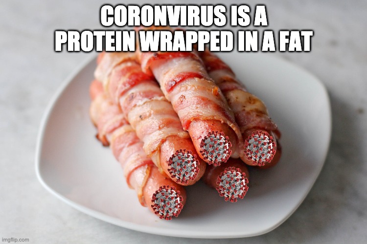 CORONVIRUS IS A PROTEIN WRAPPED IN A FAT | image tagged in coronavirus | made w/ Imgflip meme maker