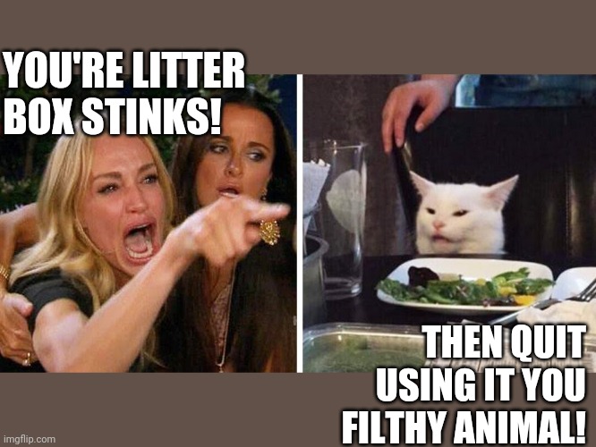 Smudge the cat | YOU'RE LITTER BOX STINKS! THEN QUIT USING IT YOU FILTHY ANIMAL! | image tagged in smudge the cat | made w/ Imgflip meme maker