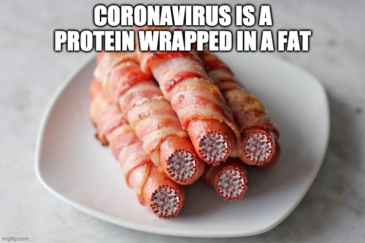 protein wrapped in fat | CORONAVIRUS IS A PROTEIN WRAPPED IN A FAT | image tagged in protein wrapped in fat,coronavirus | made w/ Imgflip meme maker