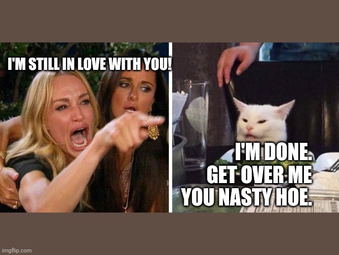 Smudge the cat | I'M STILL IN LOVE WITH YOU! I'M DONE.  GET OVER ME YOU NASTY HOE. | image tagged in smudge the cat | made w/ Imgflip meme maker