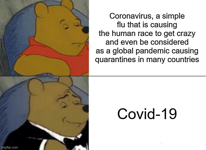 Tuxedo Winnie The Pooh Meme | Coronavirus, a simple flu that is causing the human race to get crazy and even be considered as a global pandemic causing quarantines in many countries; Covid-19 | image tagged in memes,tuxedo winnie the pooh | made w/ Imgflip meme maker