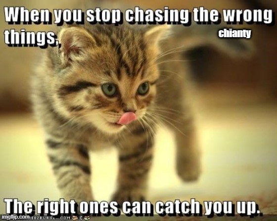 Chasing | image tagged in catch | made w/ Imgflip meme maker