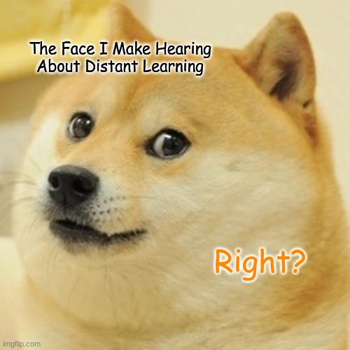 Doge Meme | The Face I Make Hearing About Distant Learning; Right? | image tagged in memes,doge | made w/ Imgflip meme maker