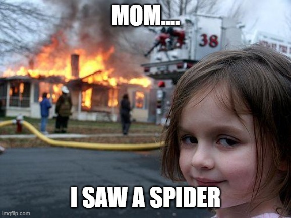 Disaster Girl | MOM.... I SAW A SPIDER | image tagged in memes,disaster girl | made w/ Imgflip meme maker