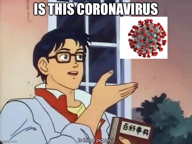 ANIME BUTTERFLY MEME | IS THIS CORONAVIRUS | image tagged in anime butterfly meme | made w/ Imgflip meme maker