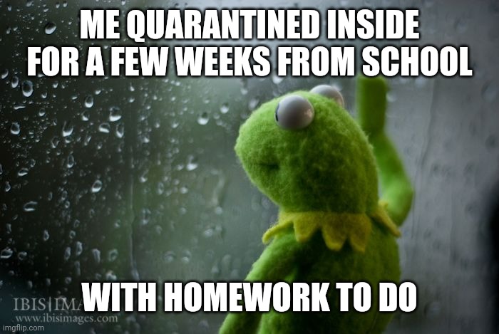 That is for real :( | ME QUARANTINED INSIDE FOR A FEW WEEKS FROM SCHOOL; WITH HOMEWORK TO DO | image tagged in kermit window | made w/ Imgflip meme maker