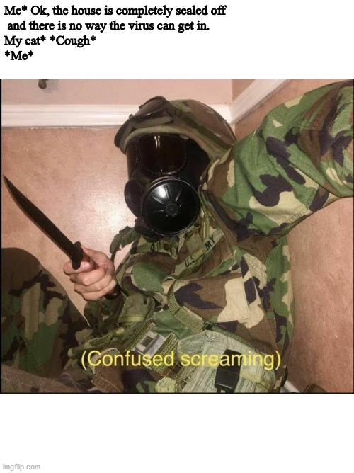 confused screaming but with gas mask |  Me* Ok, the house is completely sealed off
 and there is no way the virus can get in.

My cat* *Cough*

*Me* | image tagged in confused screaming but with gas mask | made w/ Imgflip meme maker