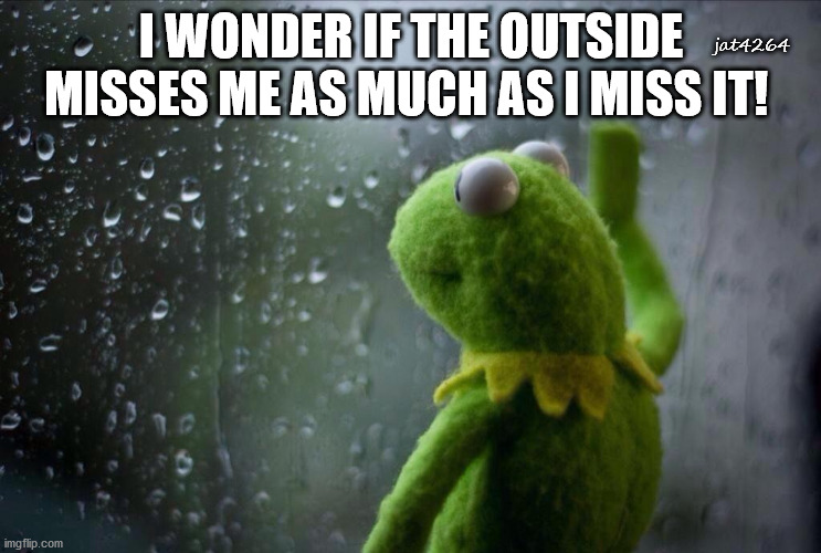 Sad Kermit | I WONDER IF THE OUTSIDE MISSES ME AS MUCH AS I MISS IT! jat4264 | image tagged in sad kermit | made w/ Imgflip meme maker