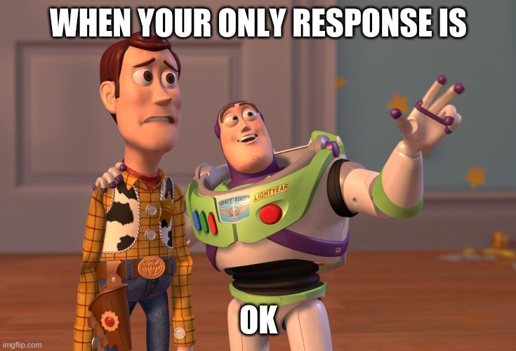 X, X Everywhere | WHEN YOUR ONLY RESPONSE IS; OK | image tagged in memes,x x everywhere | made w/ Imgflip meme maker