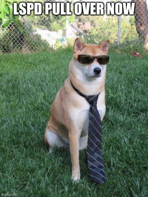 Business doge | LSPD PULL OVER NOW | image tagged in business doge | made w/ Imgflip meme maker