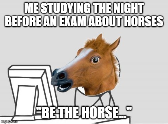 Computer Horse | ME STUDYING THE NIGHT BEFORE AN EXAM ABOUT HORSES; "BE THE HORSE..." | image tagged in memes,computer horse | made w/ Imgflip meme maker