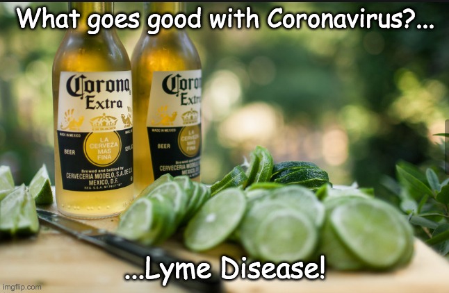 Lime and Corona Virus | What goes good with Coronavirus?... ...Lyme Disease! | image tagged in lime and corona virus | made w/ Imgflip meme maker
