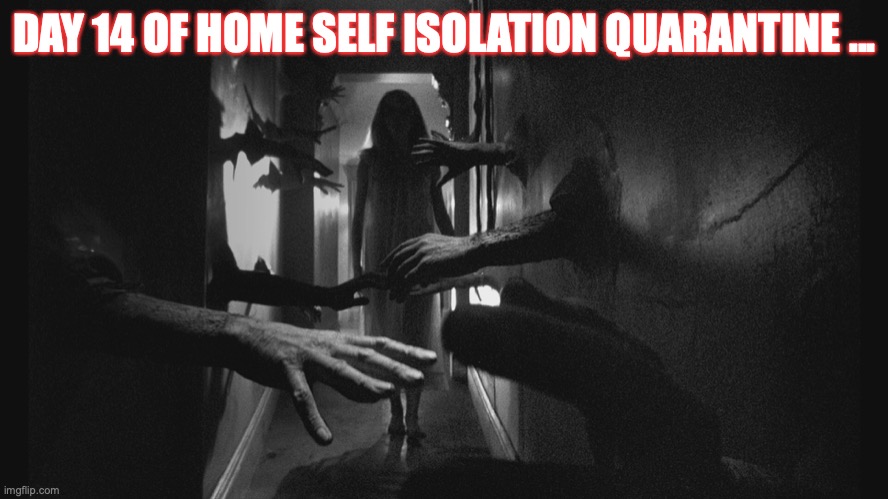 Self Isolation Quarantine | DAY 14 OF HOME SELF ISOLATION QUARANTINE ... | image tagged in coronavirus,quarantine | made w/ Imgflip meme maker