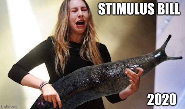 STIMULUS BILL; 2020 | image tagged in congress | made w/ Imgflip meme maker