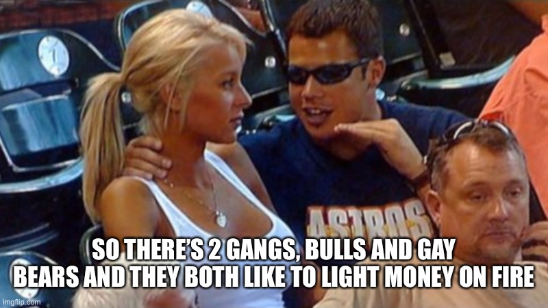 Bro explaining | SO THERE’S 2 GANGS, BULLS AND GAY BEARS AND THEY BOTH LIKE TO LIGHT MONEY ON FIRE | image tagged in bro explaining | made w/ Imgflip meme maker