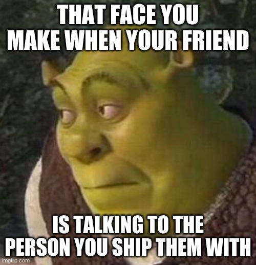 Shrek | THAT FACE YOU MAKE WHEN YOUR FRIEND; IS TALKING TO THE PERSON YOU SHIP THEM WITH | image tagged in shrek | made w/ Imgflip meme maker