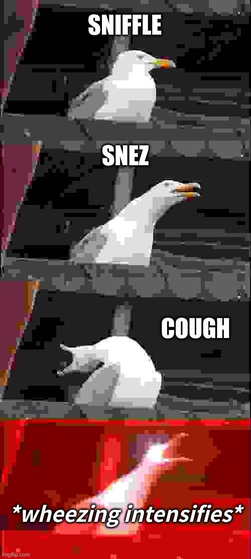 Inhaling Seagull Meme | SNIFFLE; SNEZ; COUGH; *wheezing intensifies* | image tagged in memes,inhaling seagull | made w/ Imgflip meme maker