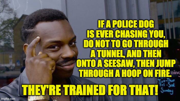 Roll Safe Think About It Meme | IF A POLICE DOG IS EVER CHASING YOU, DO NOT TO GO THROUGH A TUNNEL, AND THEN ONTO A SEESAW, THEN JUMP THROUGH A HOOP ON FIRE. THEY'RE TRAINED FOR THAT! | image tagged in memes,roll safe think about it | made w/ Imgflip meme maker