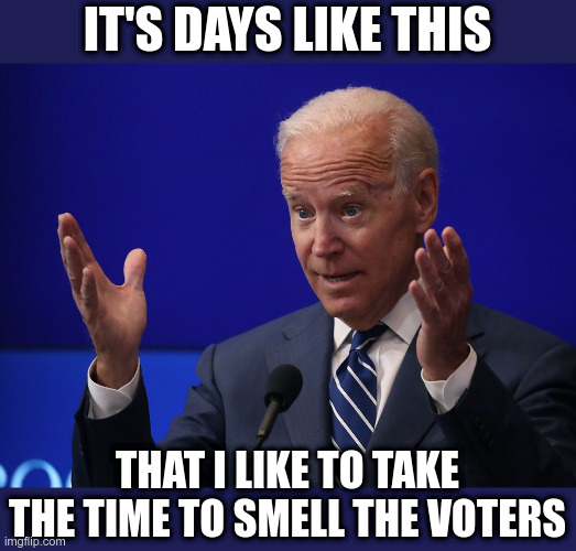 Take the Time | IT'S DAYS LIKE THIS; THAT I LIKE TO TAKE THE TIME TO SMELL THE VOTERS | image tagged in joe biden - hands up,joe biden,creepy uncle joe,smell | made w/ Imgflip meme maker